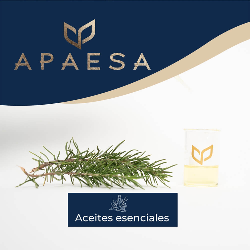 aceites_esenciales_2024